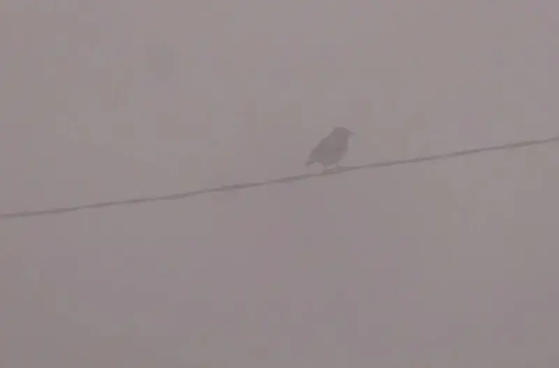 ধেয়ে আসছে নতুন শৈত্যপ্রবাহ ‘কনকন’