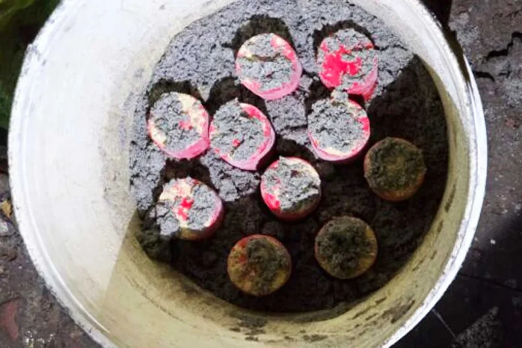যাত্রাবাড়ীতে পরিত্যক্ত অবস্থায় ১০ ককটেল উদ্ধার